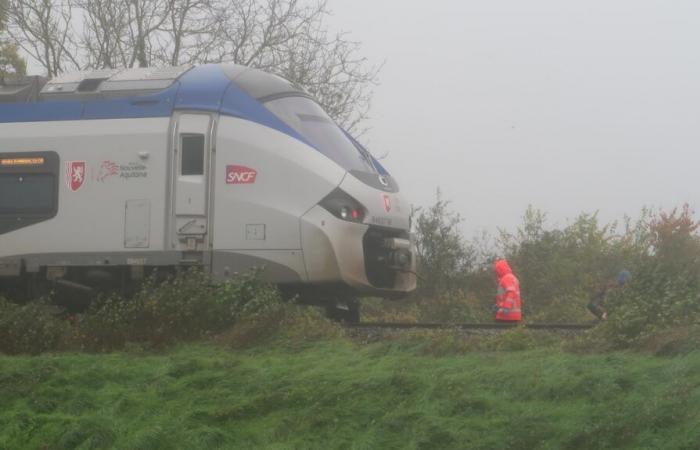 una persona atropellada y asesinada por el TER Poitiers-Niort