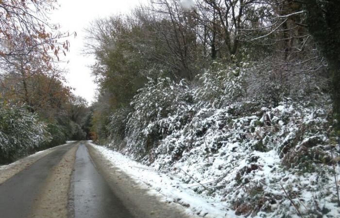 EN FOTOS. En Côtes-d’Armor, varios centímetros de nieve cubrieron el campo