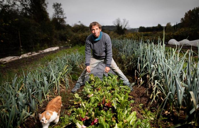 la reforma RSA debilita a los agricultores