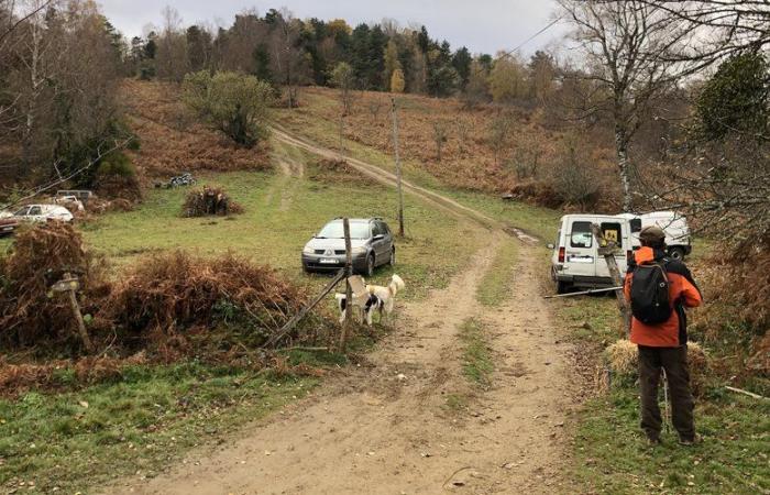 INFORMES. Desaparición de Fadila: “Quizás se cayó al intentar escapar…” Familiares lideraron la última búsqueda de oportunidad