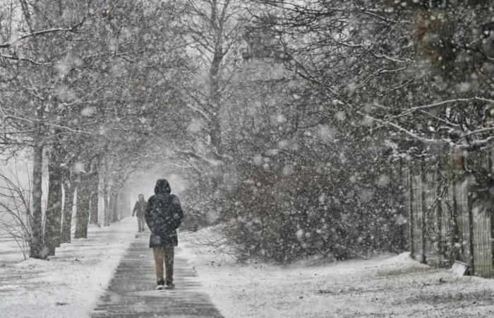 Advertencia de tormenta del DWD sobre “fuertes nevadas”