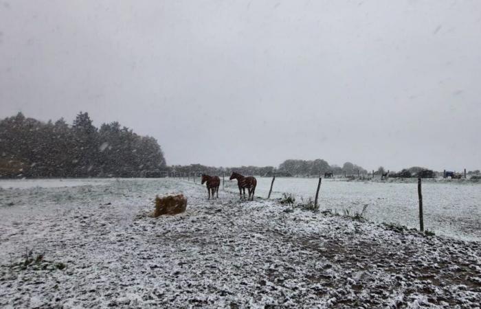 NIEVE – Carreteras cerradas, restricciones de tráfico, transporte: actualización en vivo en Eure y Sena Marítimo