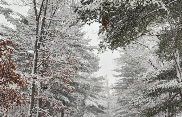 La Semana de Concientización sobre el Clima Invernal se llevará a cabo del 18 al 22 de noviembre