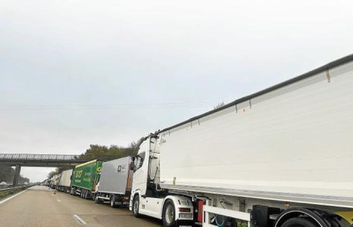 Al detenerse en la RN12 cerca de Morlaix debido a la nieve, los camioneros aprovechan para “socializar”