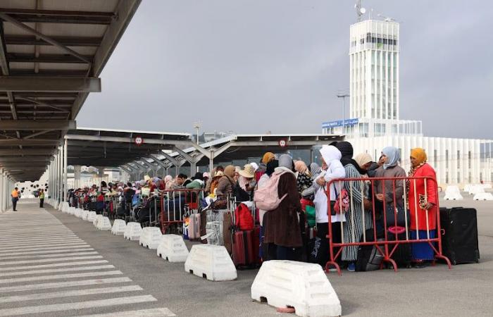 España necesita 300.000 trabajadores inmigrantes al año