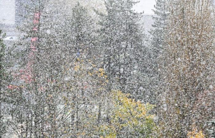 La nieve cae con fuerza sobre París y se precipita hacia el este, Puy-de-Dôme cierra todas sus escuelas a causa del viento