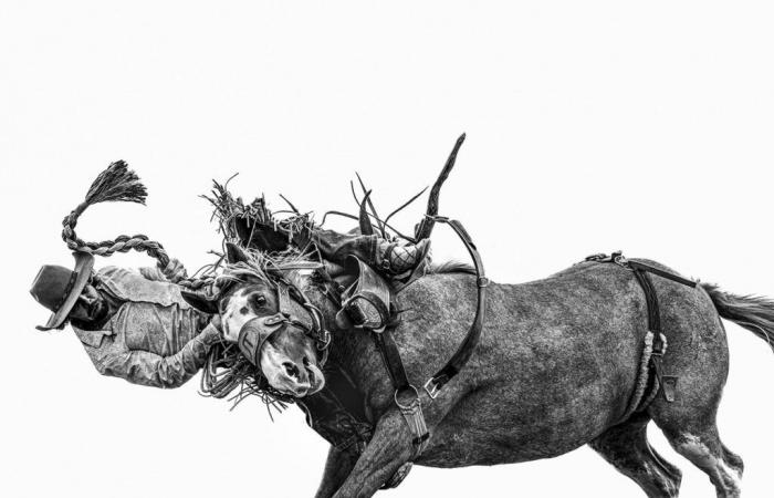 The Images Publishing Group: Anouk Krantz: Frontera: Vaqueros de las Américas