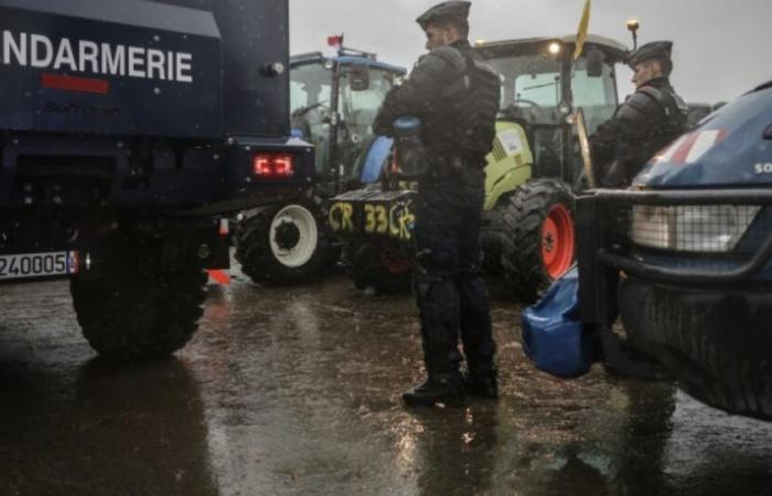 Agricultores: se anuncia el desbloqueo del puerto de Burdeos tras los anuncios del gobierno: Noticias