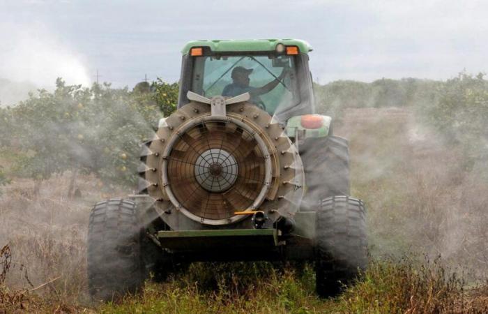 Los pesticidas autorizados en Europa deberían “ser autorizados también en Francia”, insiste el Ministro de Agricultura