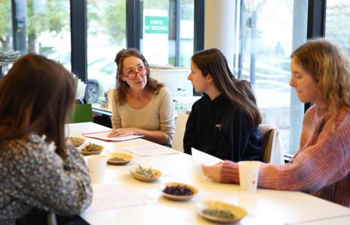 Angoulême: talleres para ayudar a los estudiantes a protegerse del frío