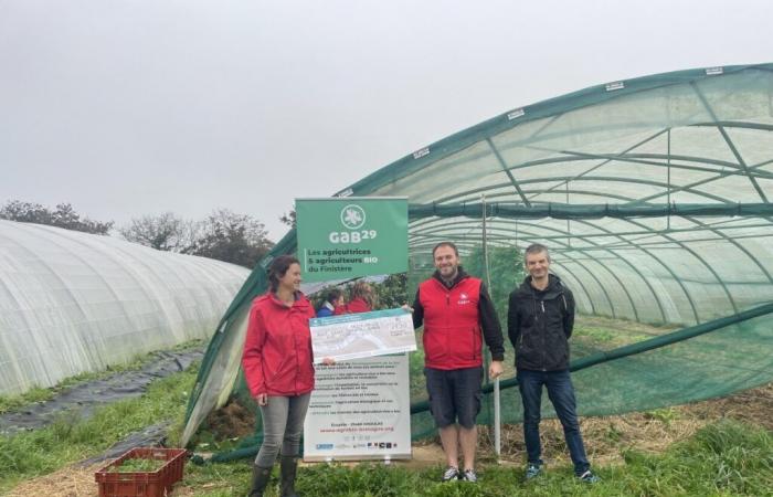 Un año después de la tormenta Ciaran, “nada ha cambiado”, denuncia el GAB de Finistère