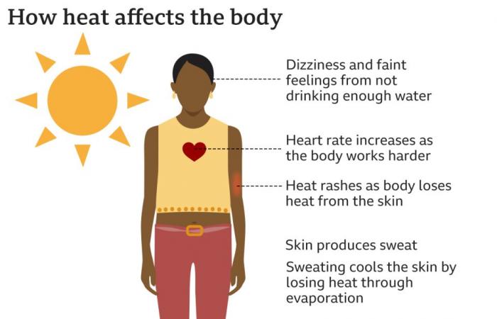 ¿Cómo funcionan las alertas sanitarias de frío y calor?