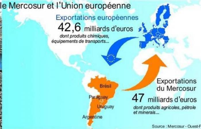 ¿Es soberana una nación que no hace cumplir su voluntad? ¿Es siquiera una nación?