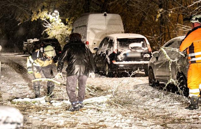 Clima: La nieve provoca accidentes y retrasos en los vuelos | Noticias