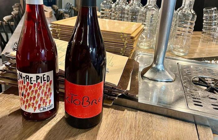 Beaujolais: ¿dónde celebrar el vino nuevo en Toulouse este jueves por la noche?