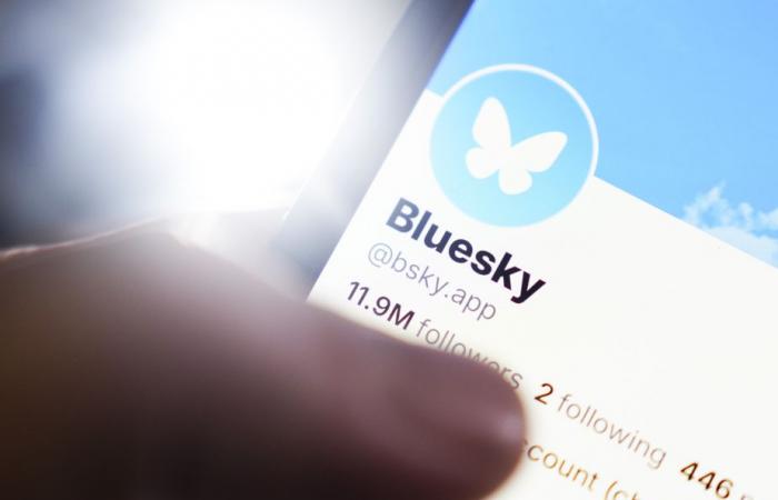 Dando tus primeros pasos en Bluesky