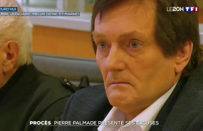 Pierre Palmade condenado a prisión: su reacción al anuncio del veredicto dice mucho