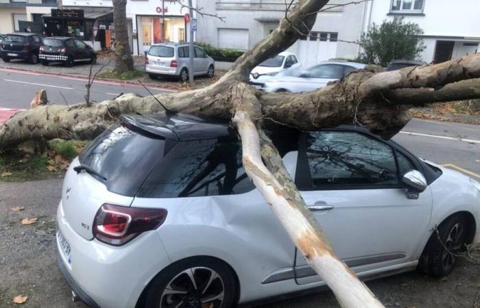 EN FOTOS. En Saint-Nazaire, la tormenta Caetano rompe árboles y causa estragos al pie del puente