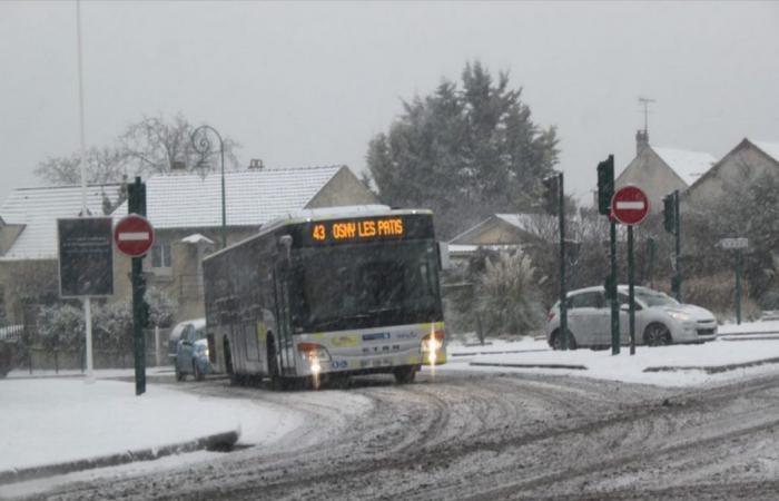 no hay transporte escolar viernes 22 de noviembre de 2024