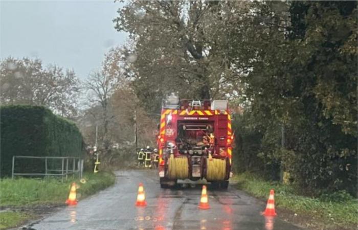 Carreteras cortadas, cortes de electricidad… Las consecuencias del temporal Caetano en el sur de Gironda