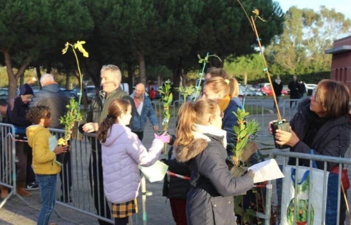 Distribuimos plantones de árboles y compost en este municipio de Loira Atlántico