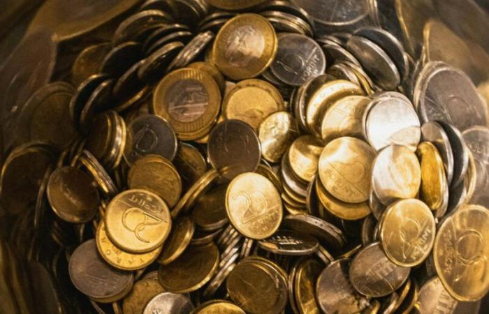 Fontanero descubre en Austria un tesoro de 30 kilos de monedas de oro