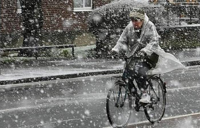 Condiciones climáticas “frías y traicioneras” a las que seguirán más brotes invernales – Página principal