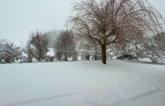 La nieve dejará paso a la lluvia y al viento.