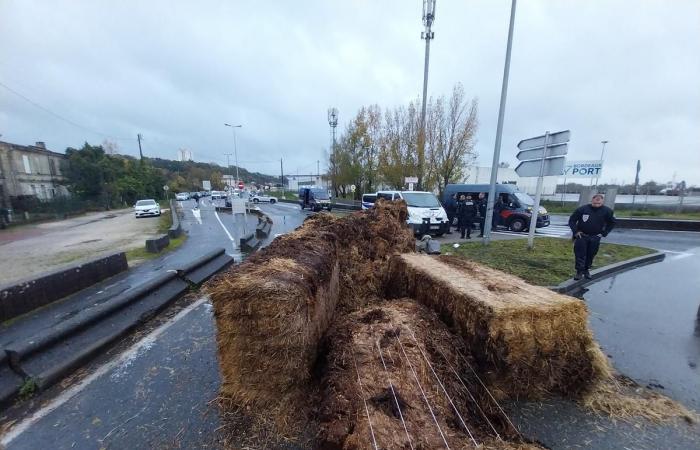 La Coordinación Rural debería salir del puerto de Burdeos el viernes por la mañana