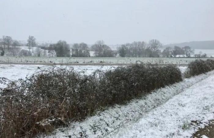 Clima: acumulaciones de nieve de “5 a 10 centímetros” en el departamento de Mayenne