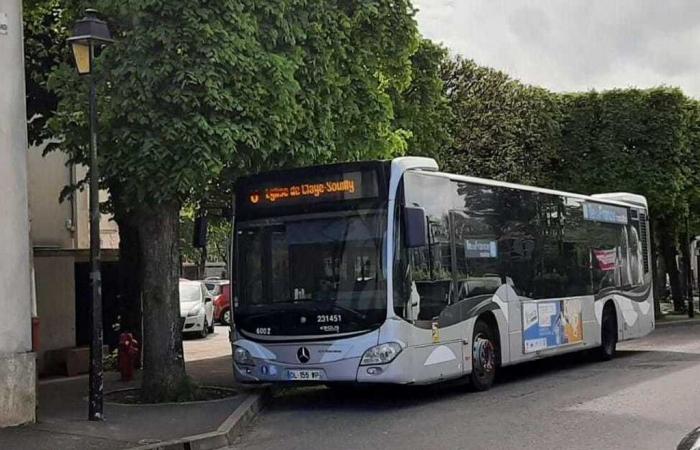 Líneas de autobús suspendidas hasta nuevo aviso.