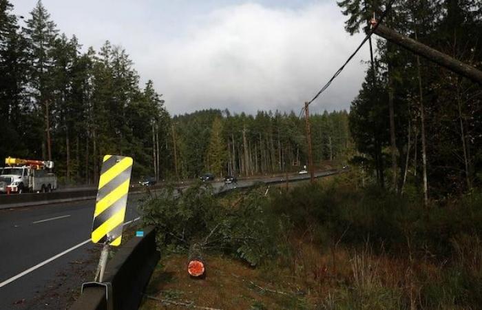 Más de 55.000 hogares siguen sin electricidad tras la bomba meteorológica