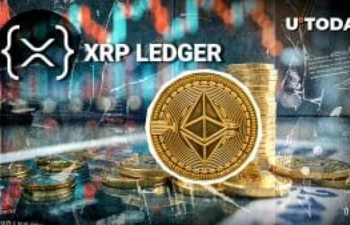 XRP dispara un 454% en el desequilibrio de liquidación a medida que los bajistas impulsan el repunte de los precios