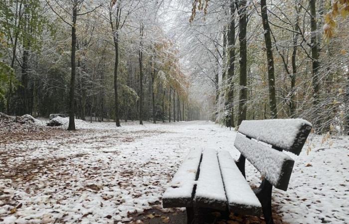 EN FOTOS. La tierra de Flers se despierta bajo la nieve: una decoración navideña