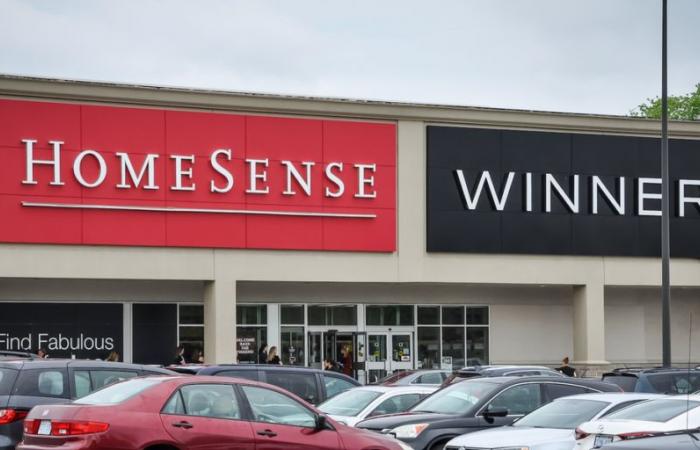 Health Canada retira del mercado 2224 jabones vendidos en Winners, HomeSense y Marshalls