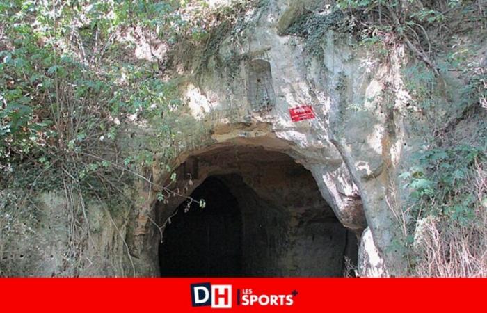 Un bassengeois bloquea la entrada a la cueva de Trou Loulou: “Se corre el riesgo de impedir que una colonia de 750 murciélagos hiberne”