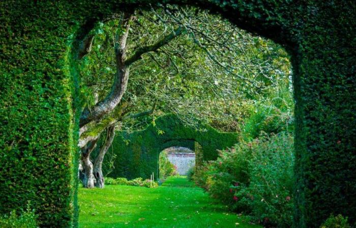 Un jardín para un reino, de Gwenaële Robert: paraíso verde