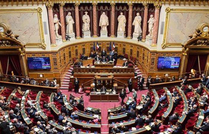 El Senado dice sí al aporte de choque de 7 horas sin sueldo