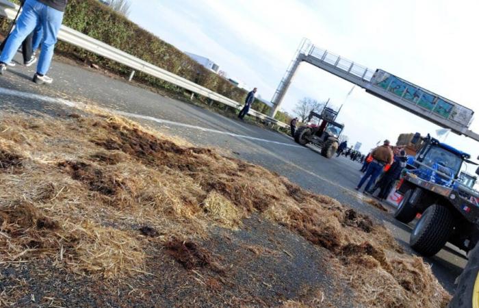 Paralizada la autopista A43, los sectores afectados