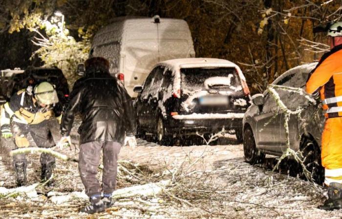 El Servicio Meteorológico Alemán advierte sobre tormentas de nieve: “Peligro para la vida y la integridad física”