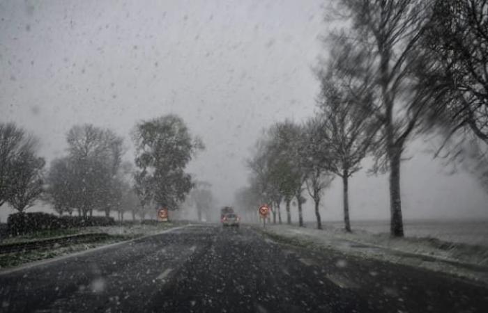 Imágenes de los primeros copos de nieve en Francia.