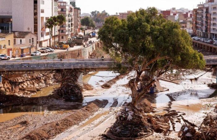 Después de Valencia, cómo adaptar las ciudades mediterráneas a las inundaciones