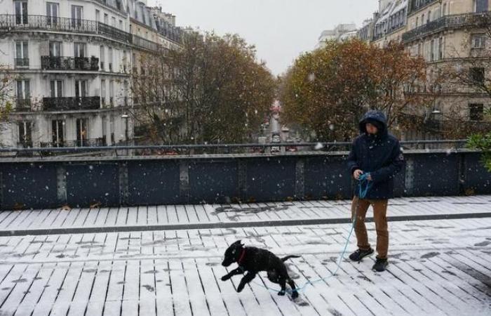 EN FOTOS. Rennes, París, Estrasburgo… Media Francia bajo la nieve tras la tormenta