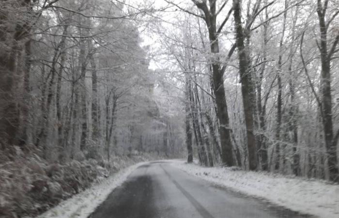 EN VIVO – Depresión de Caetano: autobuses escolares suspendidos, condiciones de tráfico difíciles por la nieve en los sectores de Dreux y Châteaudun