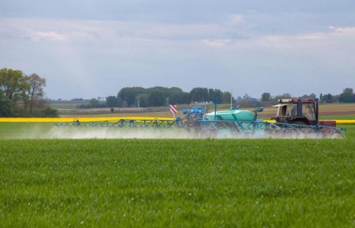 Cediendo a la presión de los agricultores, la prefectura amplía la distribución de fertilizantes nitrogenados