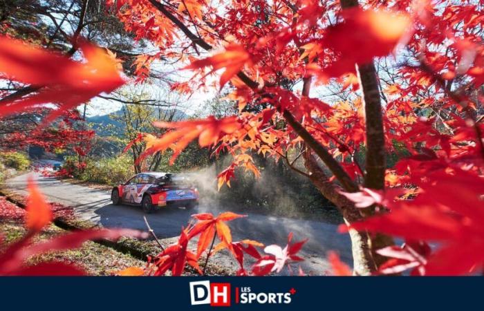 WRC Japón: las desgracias de Thierry Neuville y el lema samurái