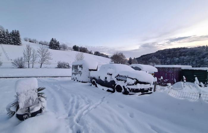 Basilea: Las nevadas provocan interrupciones en el tráfico en el BVB