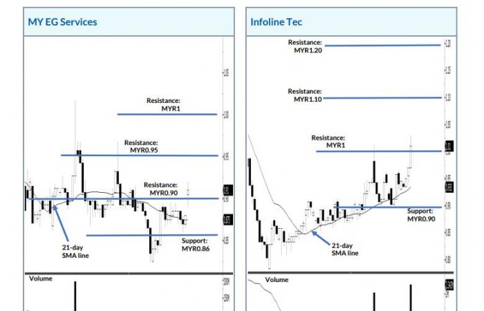 Selecciones de acciones del día: MY EG Services e Infoline Tec