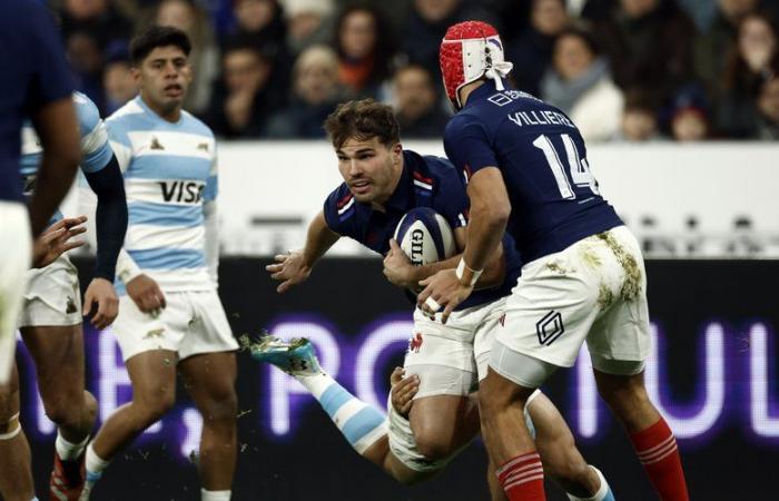 XV de Francia – “Ganamos nuestros tres partidos, así que podemos disfrutar”: tras la victoria contra Argentina (37-23), encuentre las reacciones de Fabien Galthié y Antoine Dupont