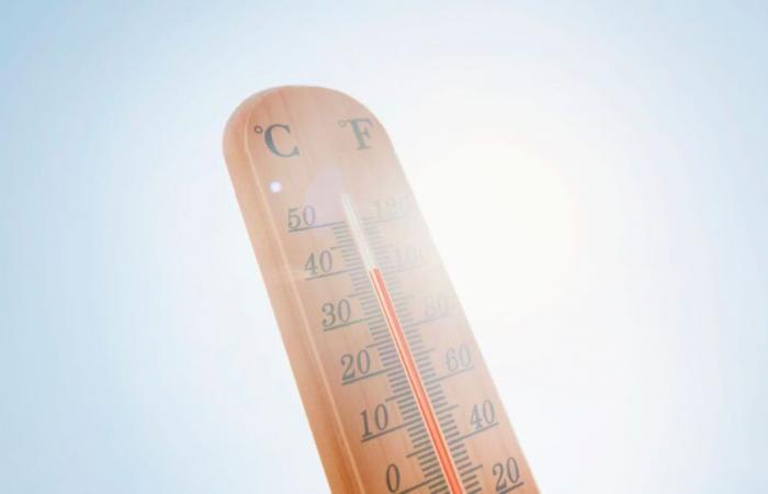 Forecaster.health, un modelo para anticipar muertes vinculadas a temperaturas extremas